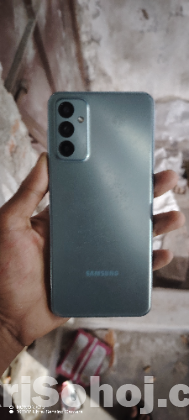 Samsung F23